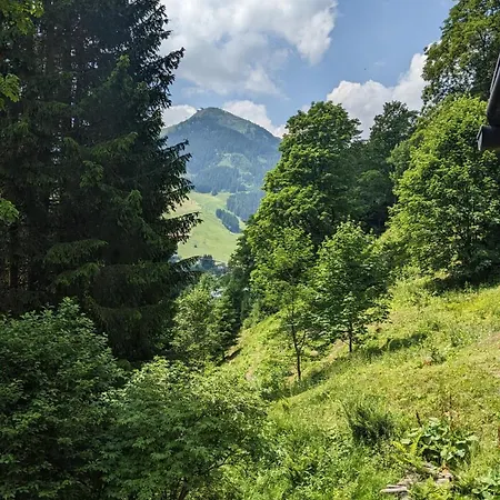 Ferius Inklusive Jokercard Im Sommer 아파트