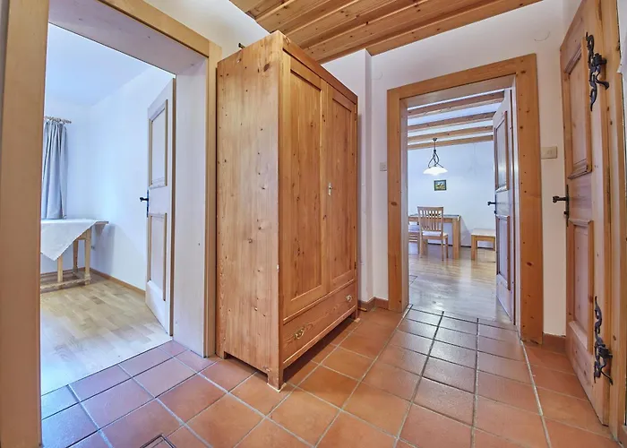 Apartament Ferius Inklusive Jokercard Im Sommer Saalbach-Hinterglemm
