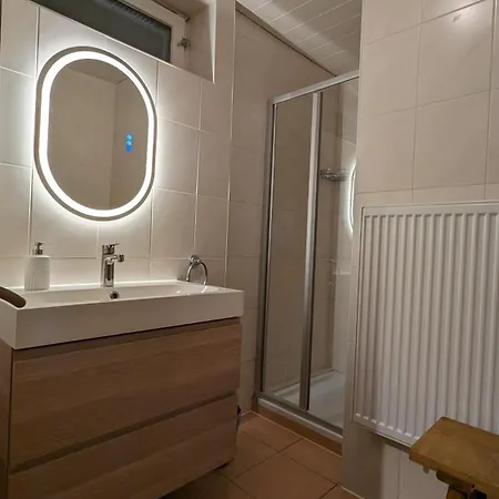 Ferius Inklusive Jokercard Im Sommer Apartment Saalbach-Hinterglemm