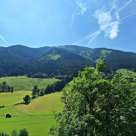 Apartment Ferius Inklusive Jokercard Im Sommer Saalbach