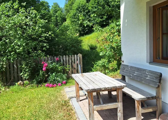 Ferius Inklusive Jokercard Im Sommer * Saalbach-Hinterglemm