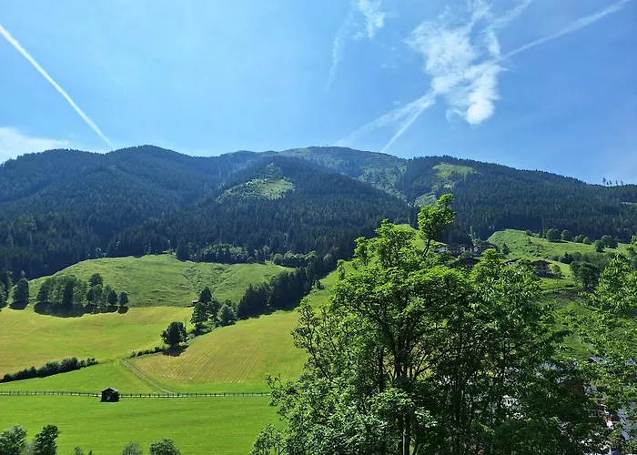 Lejlighed Ferius Inklusive Jokercard Im Sommer Saalbach-Hinterglemm